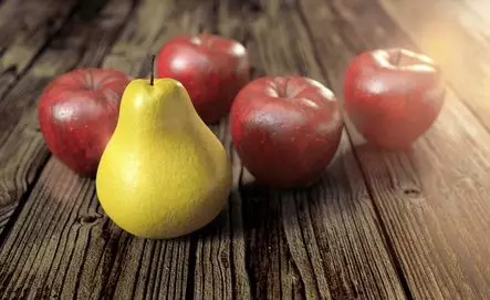 Salzburger Getreidemühlen - Testsieger!
