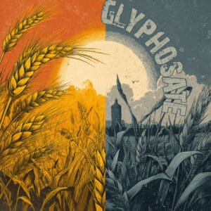 Glyphosat bei Weizen: Wirkung, Einsatz und Risiken zur Erntezeit